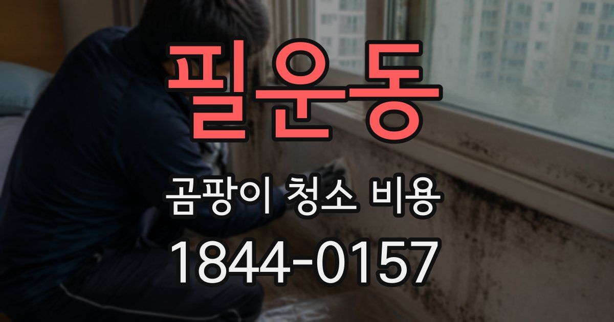필운동 곰팡이 청소 비용