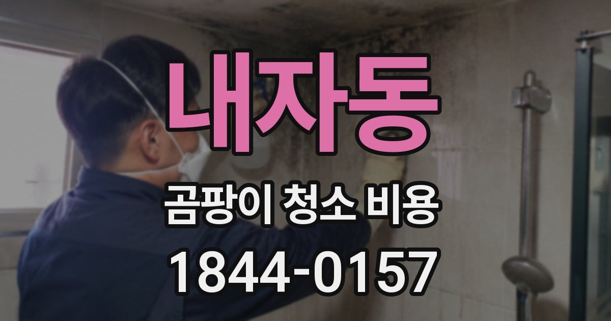 내자동 곰팡이 청소 비용
