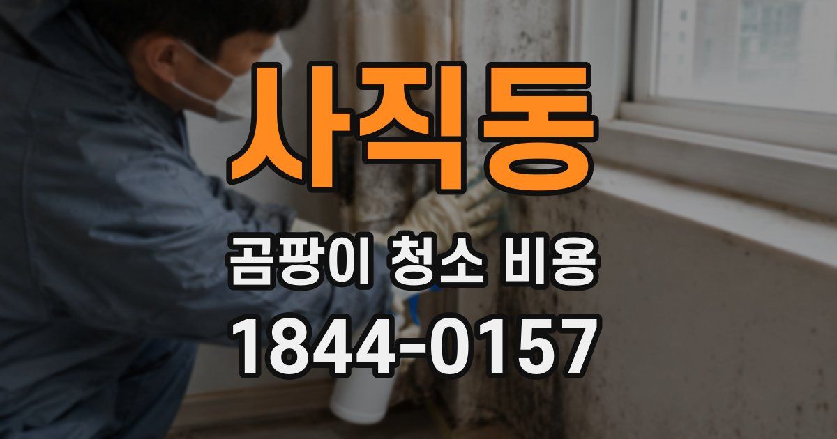 사직동 곰팡이 청소 비용