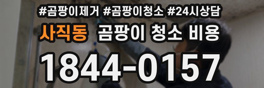 사직동 곰팡이 청소 비용