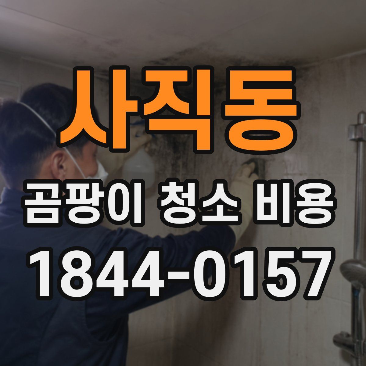 사직동 곰팡이 청소 비용