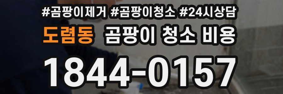 도렴동 곰팡이 청소 비용