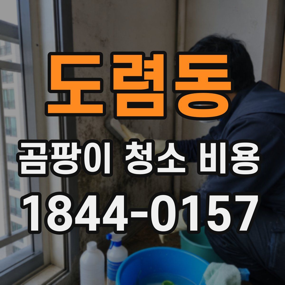 도렴동 곰팡이 청소 비용