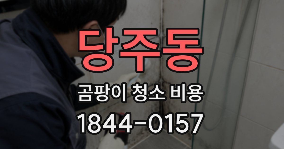 당주동 곰팡이 청소 비용