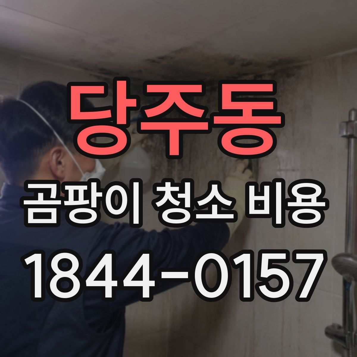 당주동 곰팡이 청소 비용