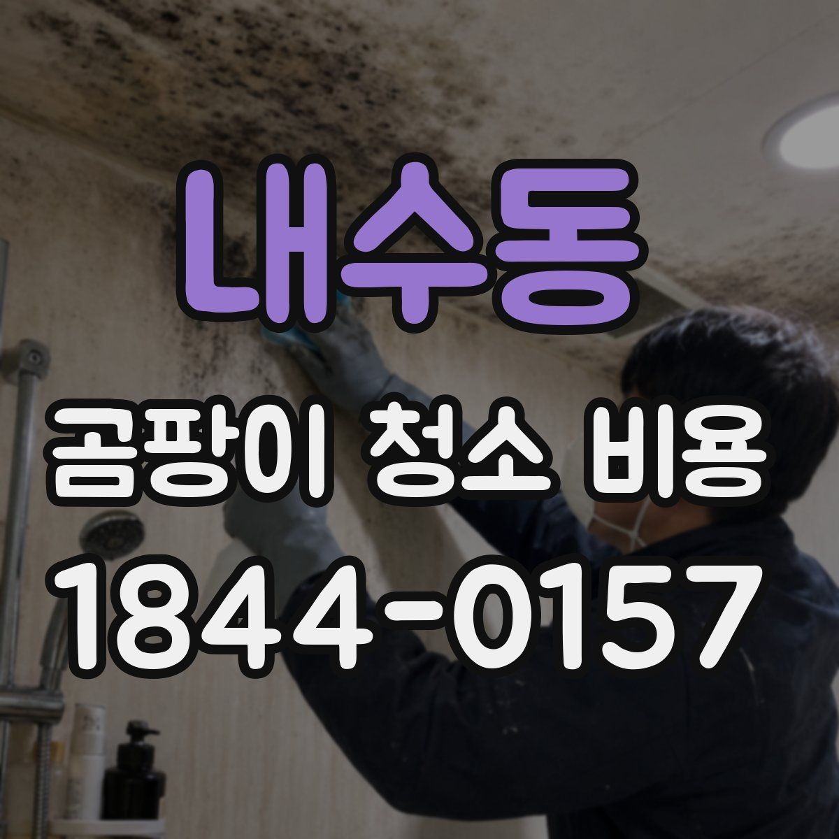 내수동 곰팡이 청소 비용 약품 잔류와 냄새 확인이 중요한 이유