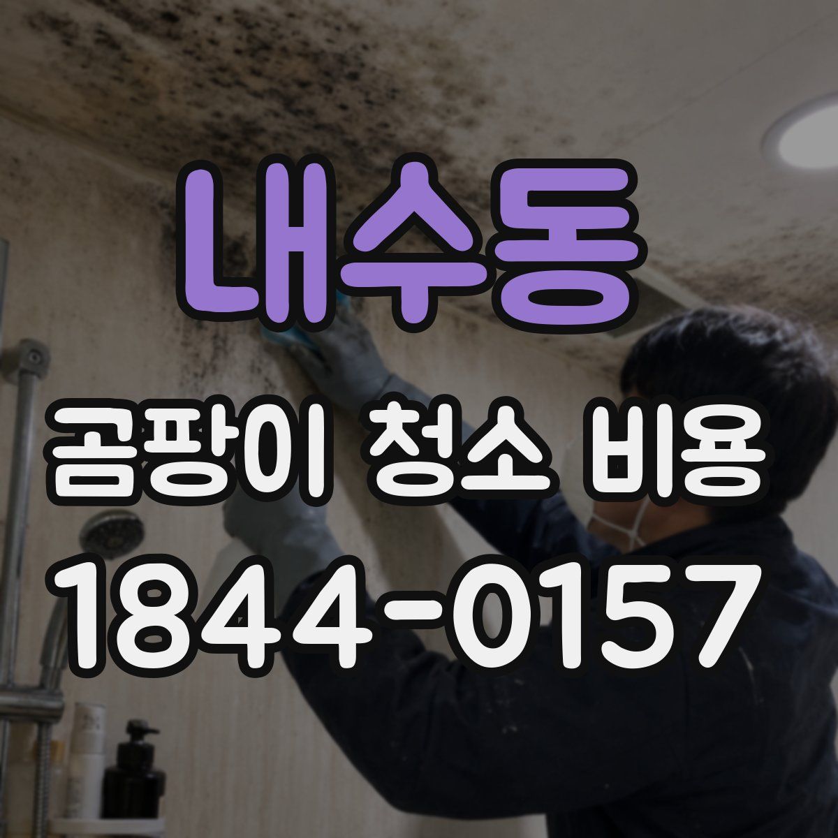 내수동 곰팡이 청소 비용