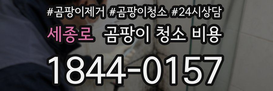 세종로 곰팡이 청소 비용