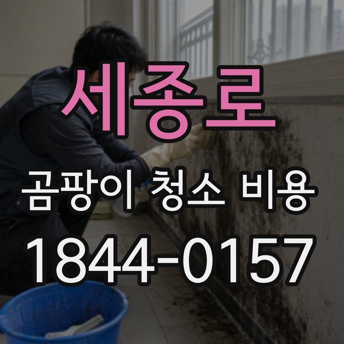 세종로 곰팡이 청소 비용