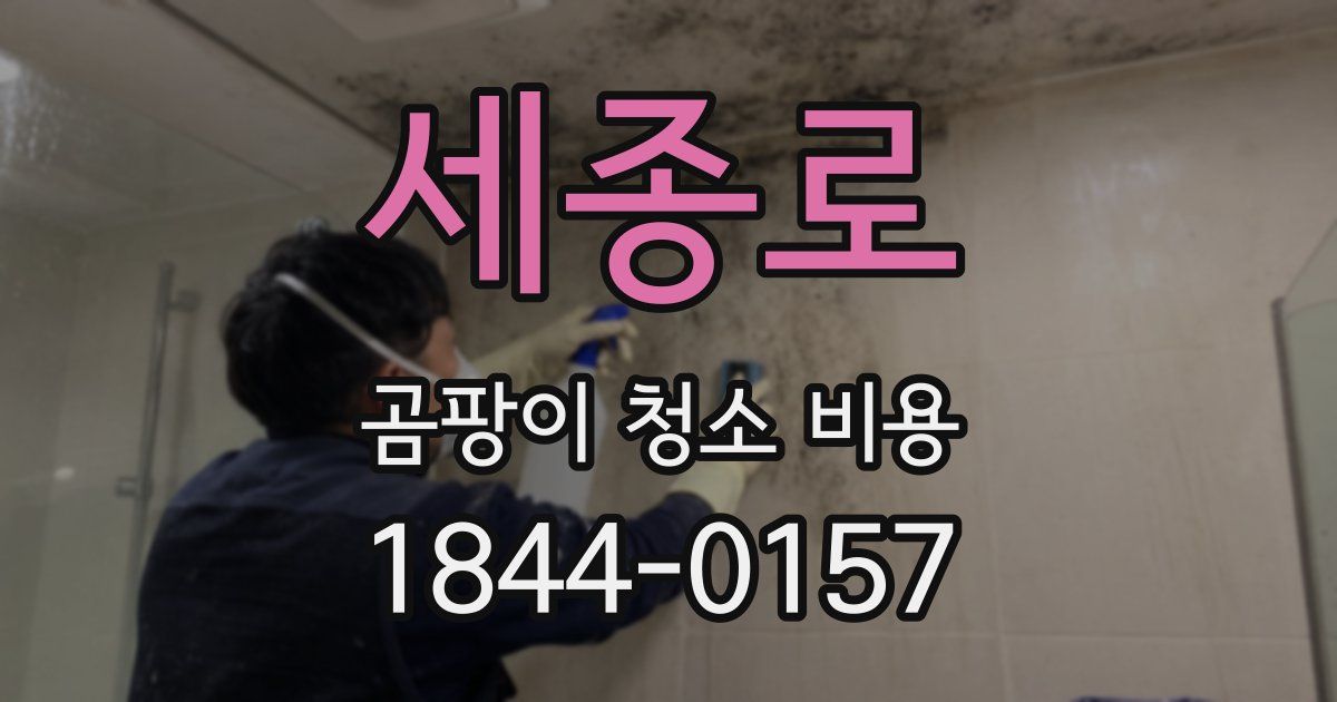 세종로 곰팡이 청소 비용