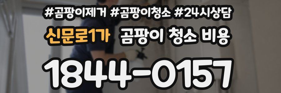 신문로1가 곰팡이 청소 비용