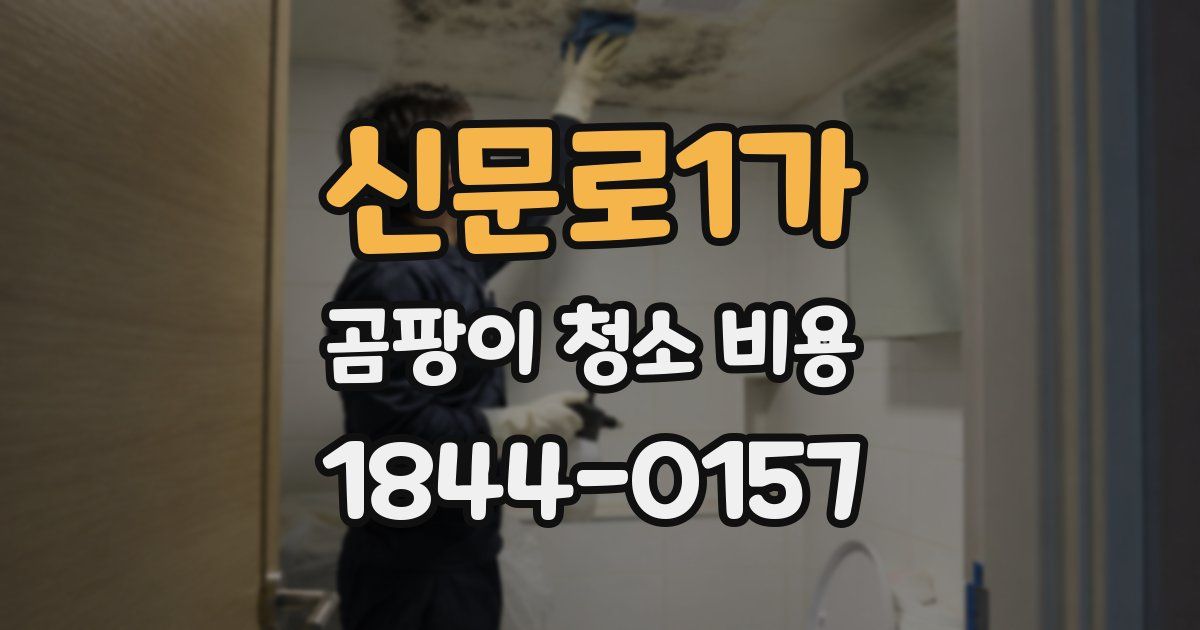 신문로1가 곰팡이 청소 비용