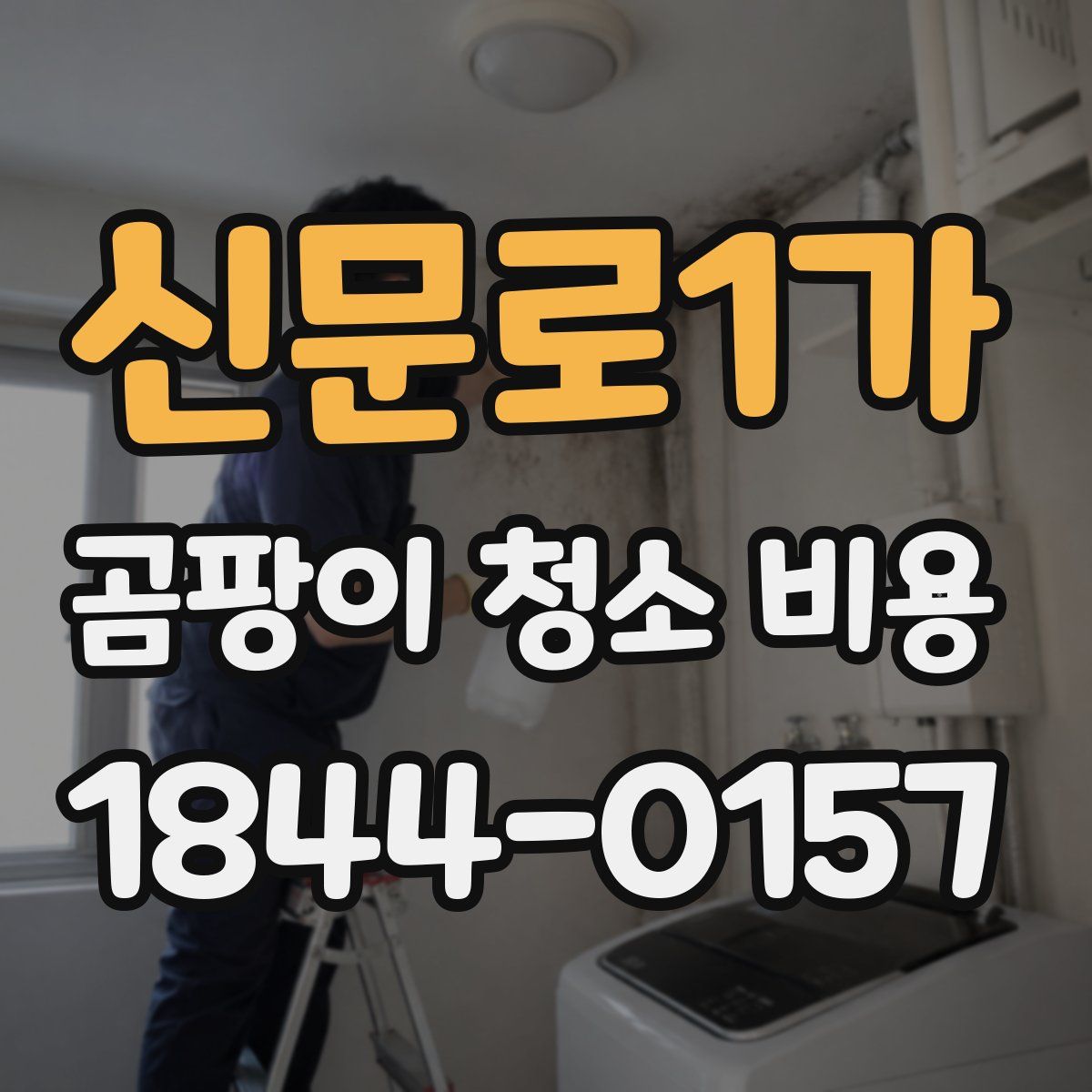 신문로1가 곰팡이 청소 비용