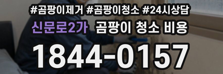 신문로2가 곰팡이 청소 비용