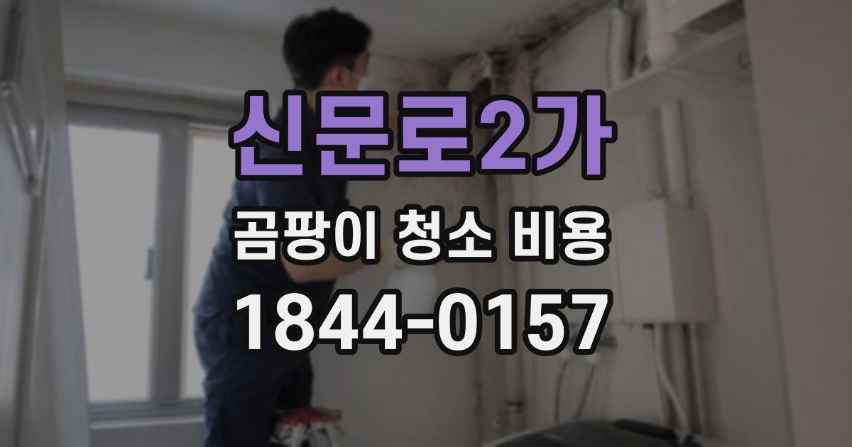 신문로2가 곰팡이 청소 비용