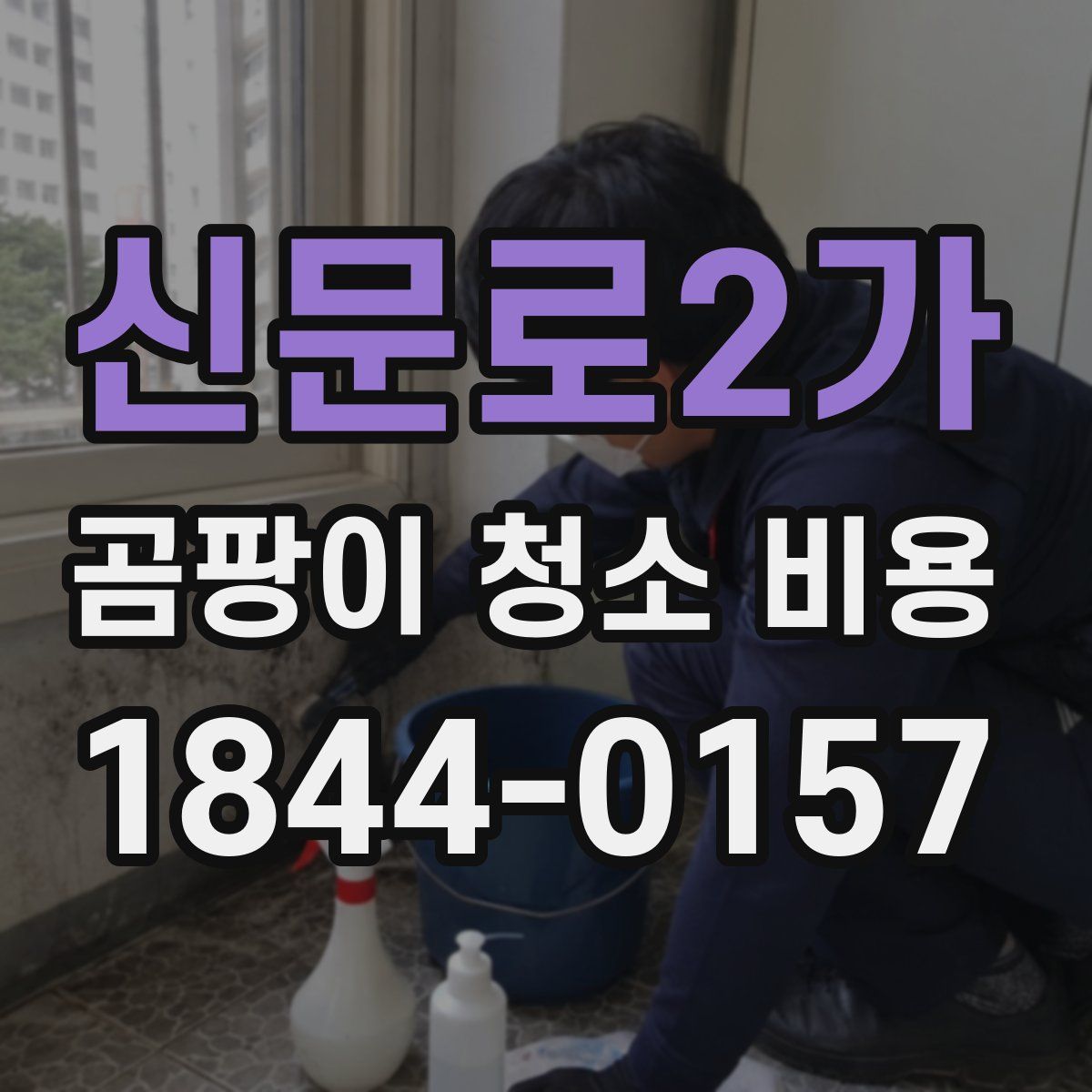 신문로2가 곰팡이 청소 비용