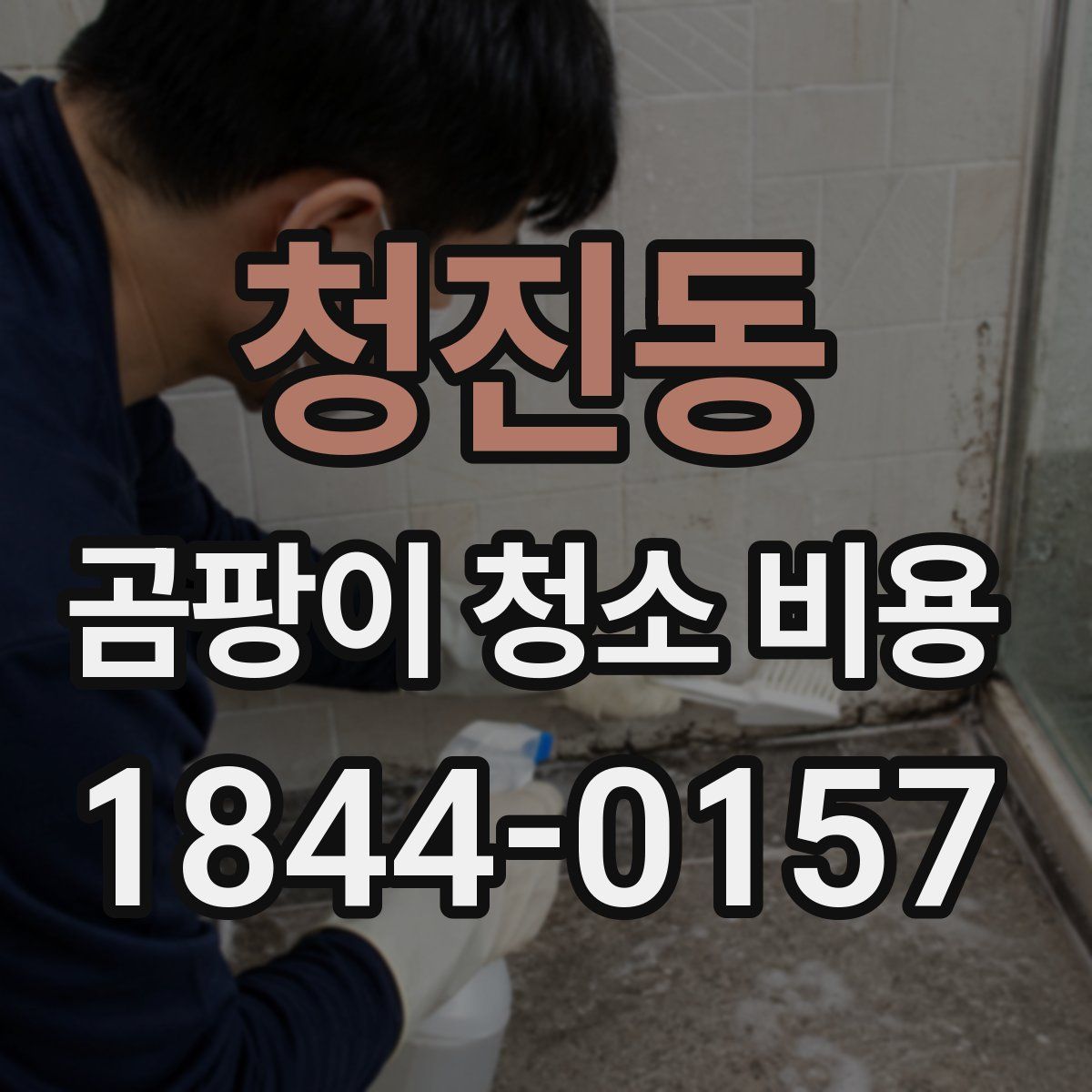 청진동 곰팡이 청소 비용