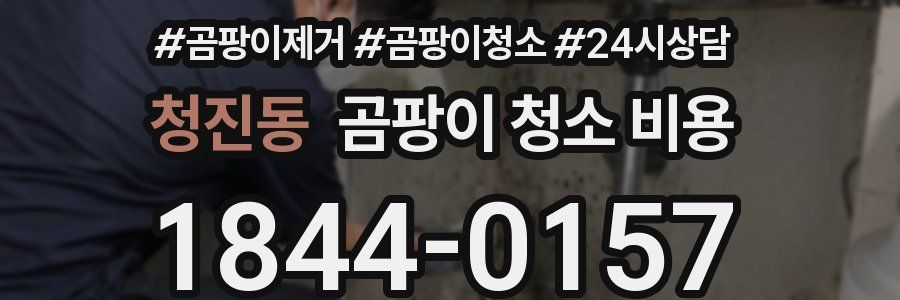 청진동 곰팡이 청소 비용