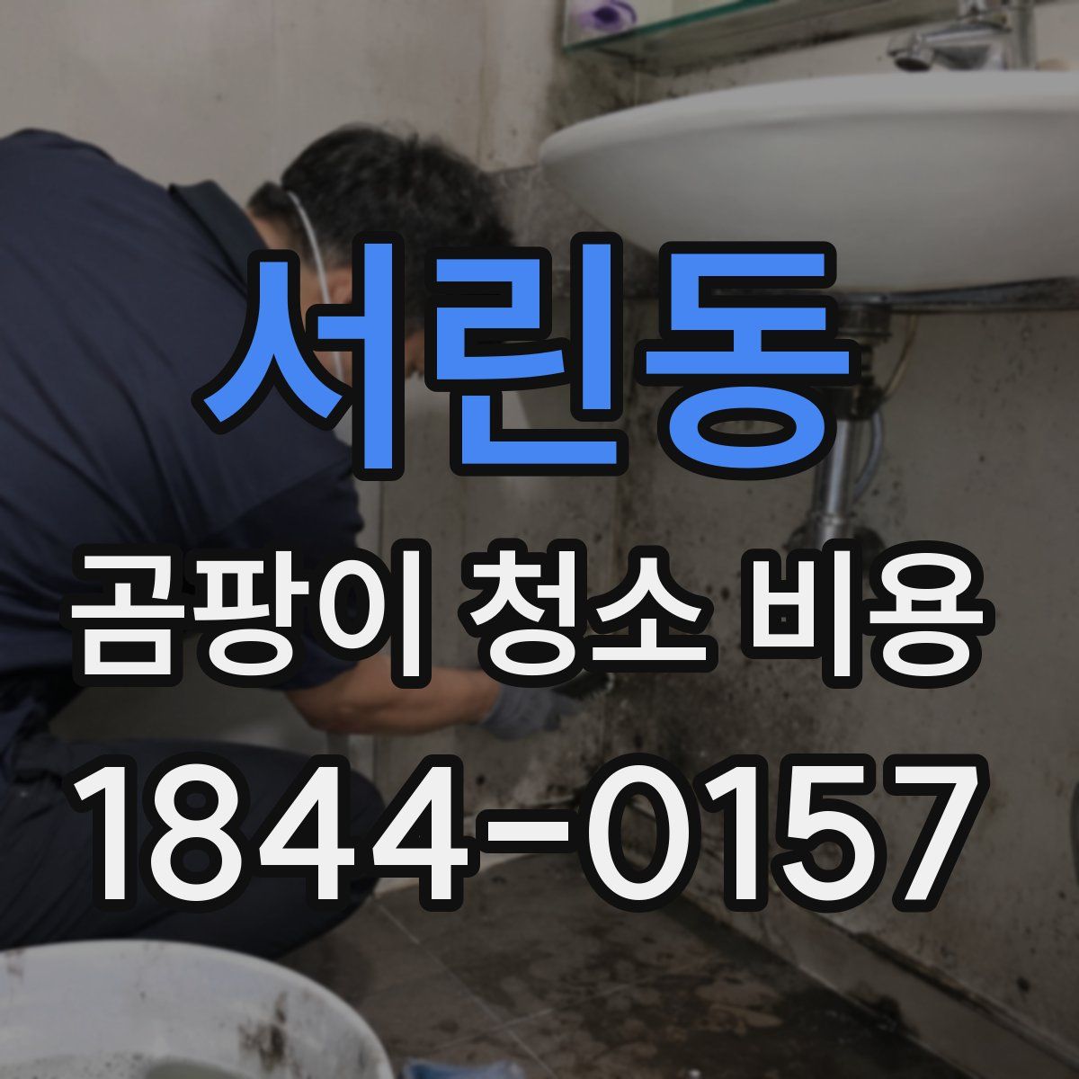 서린동 곰팡이 청소 비용