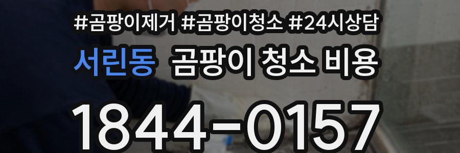서린동 곰팡이 청소 비용