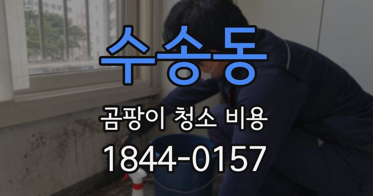 수송동 곰팡이 청소 비용