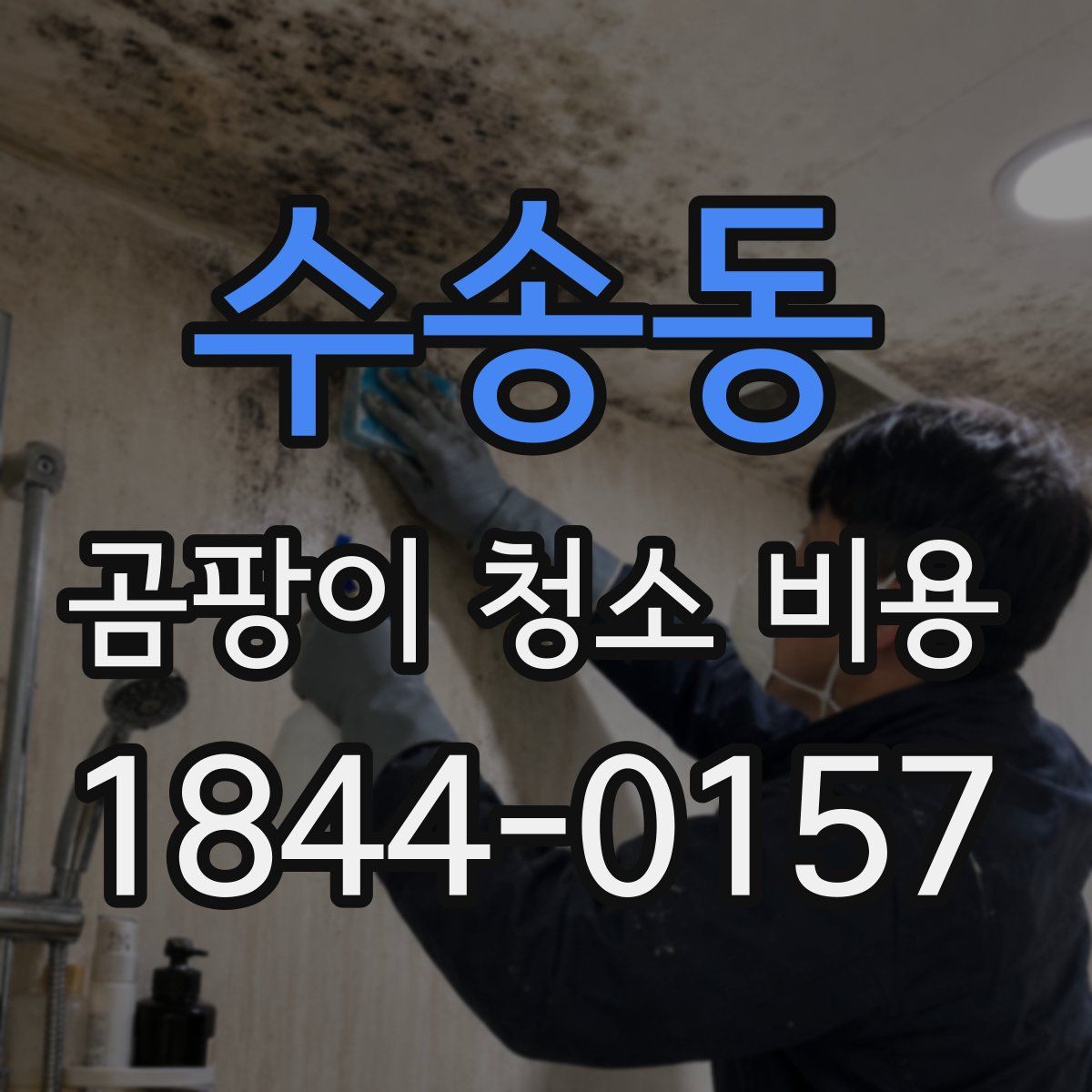 수송동 곰팡이 청소 비용