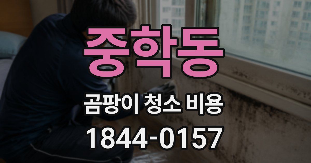 중학동 곰팡이 청소 비용