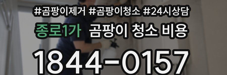 종로1가 곰팡이 청소 비용