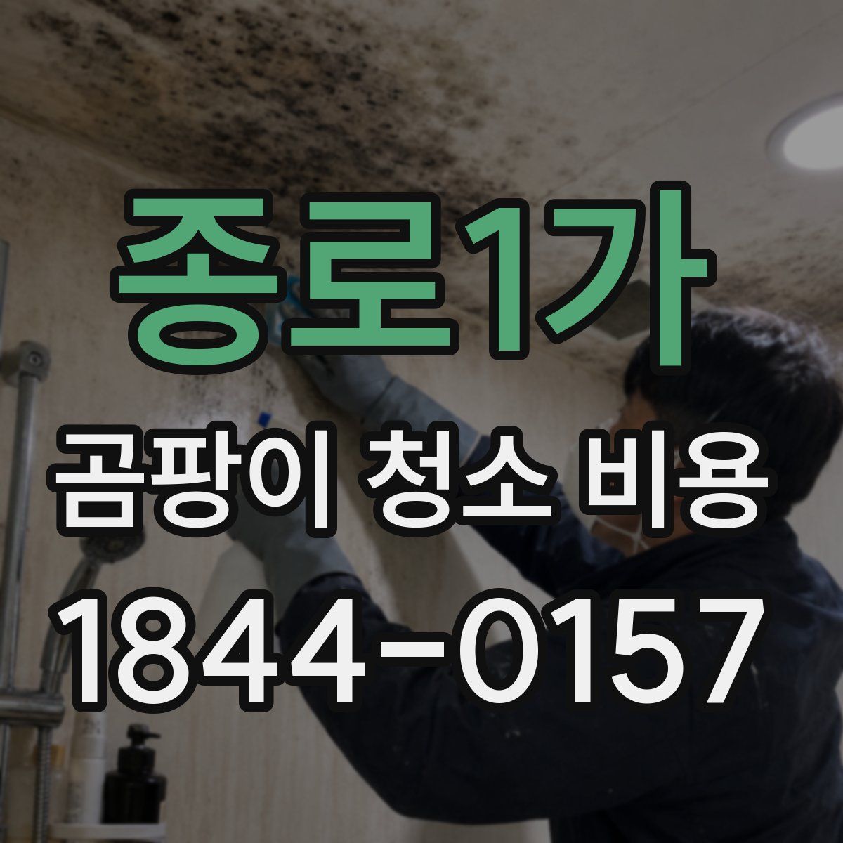 종로1가 곰팡이 청소 비용