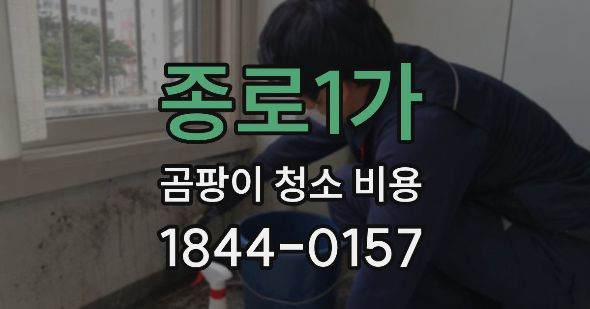 종로1가 곰팡이 청소 비용