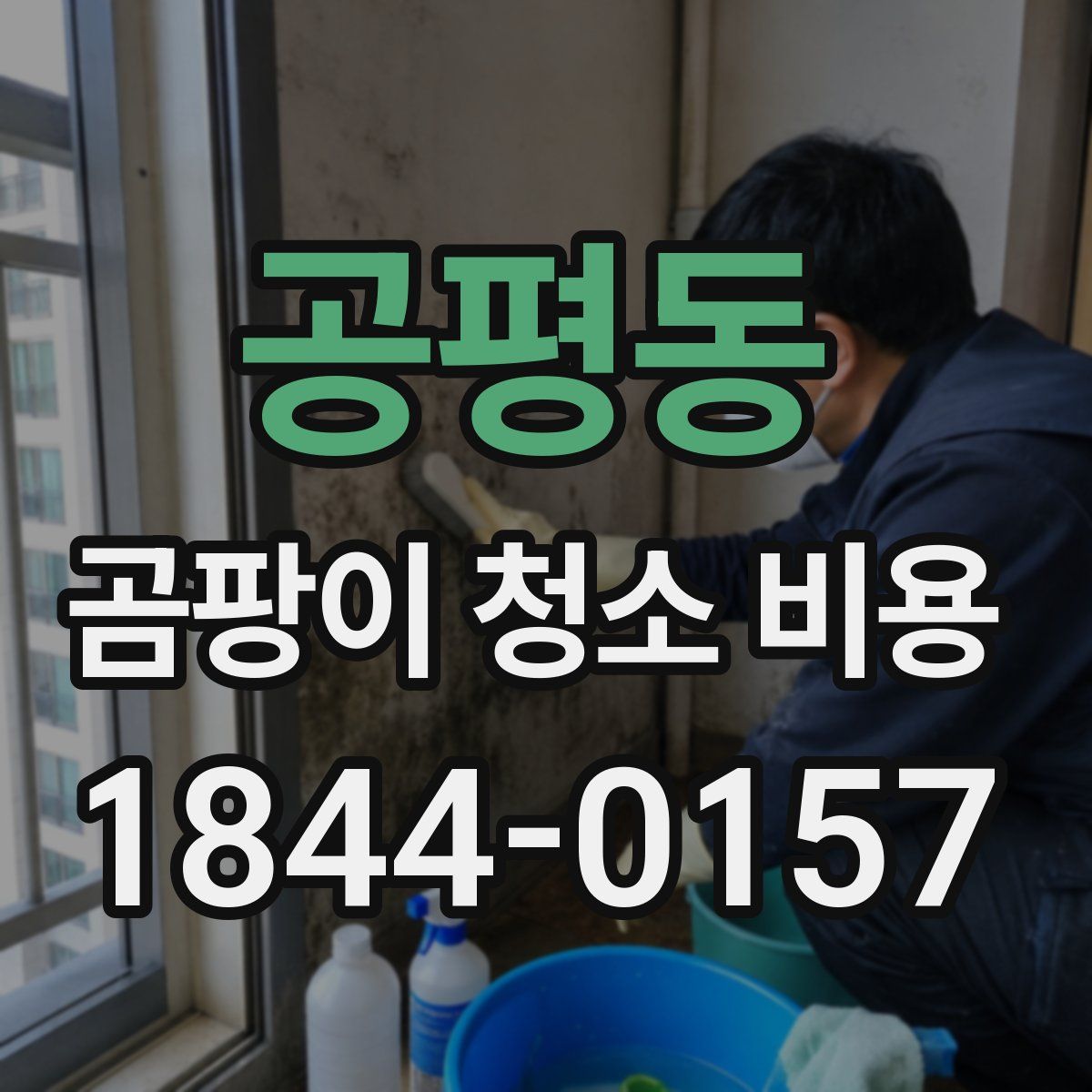공평동 곰팡이 청소 비용