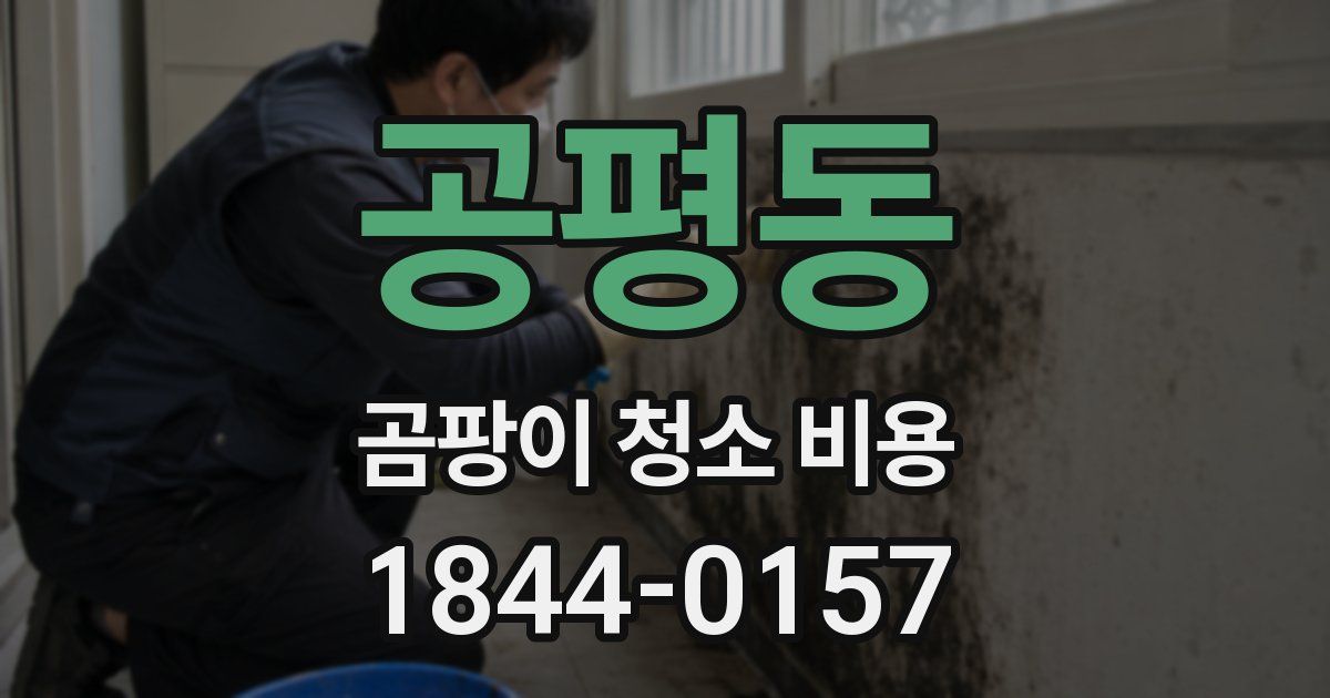공평동 곰팡이 청소 비용