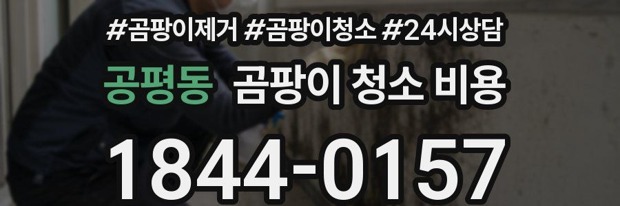공평동 곰팡이 청소 비용