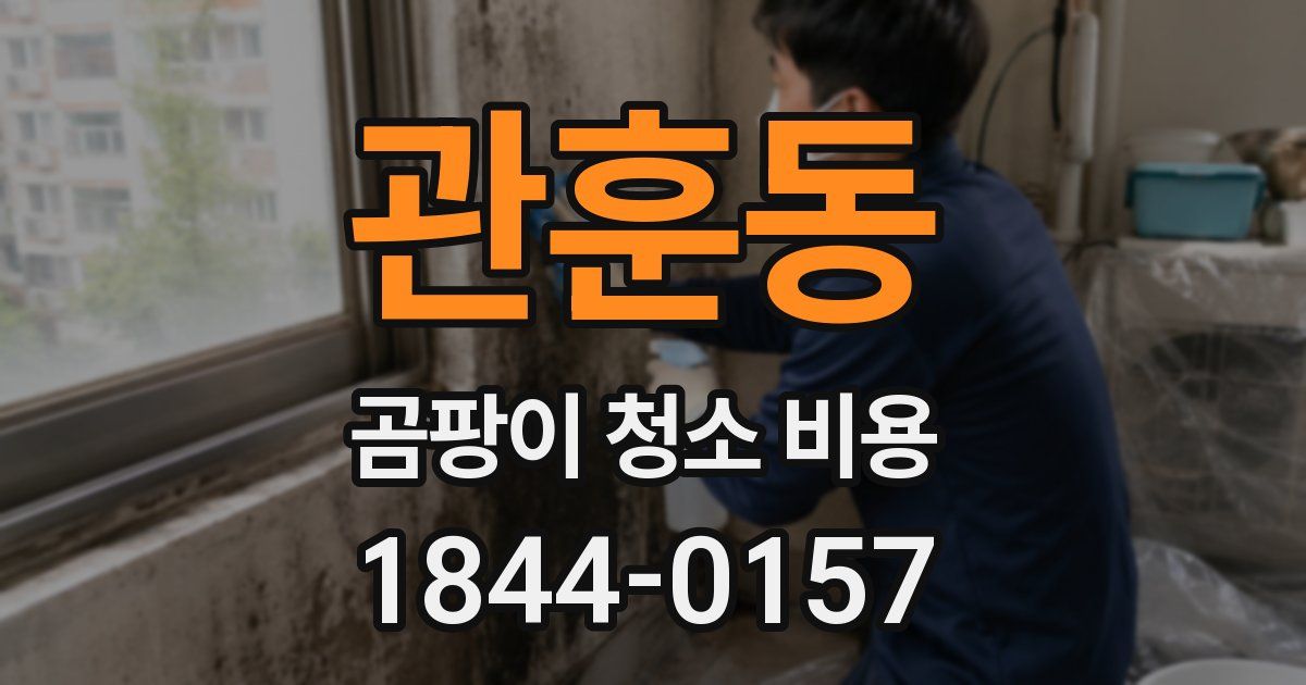 관훈동 곰팡이 청소 비용