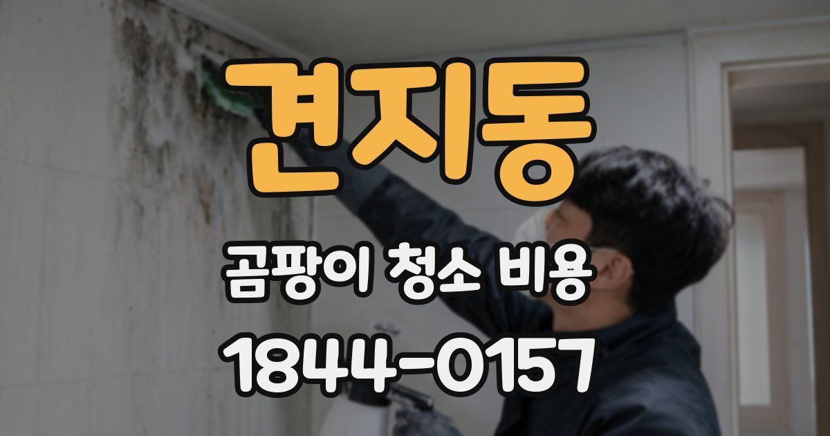 견지동 곰팡이 청소 비용