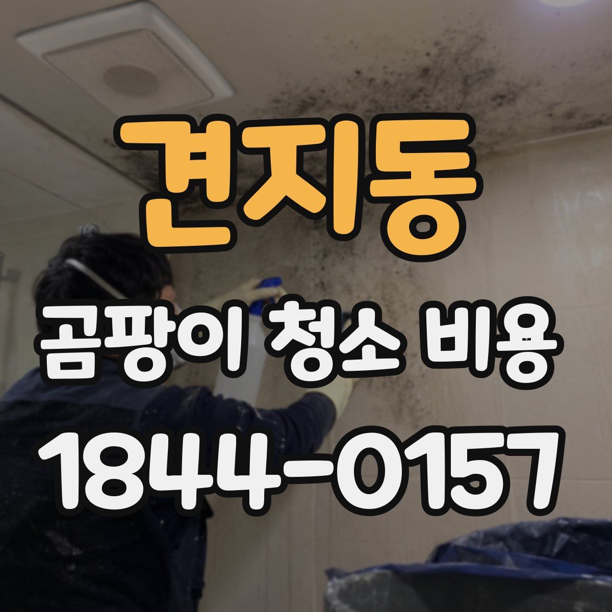 견지동 곰팡이 청소 비용