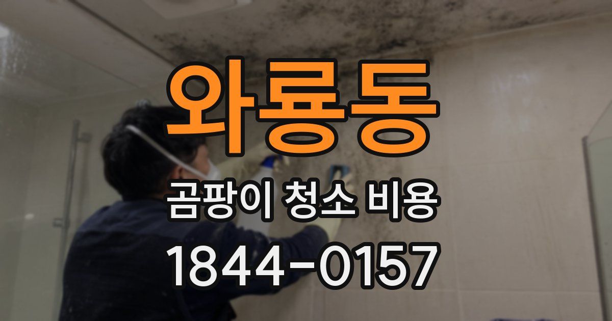 와룡동 곰팡이 청소 비용