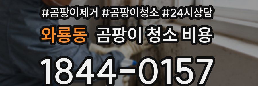 와룡동 곰팡이 청소 비용