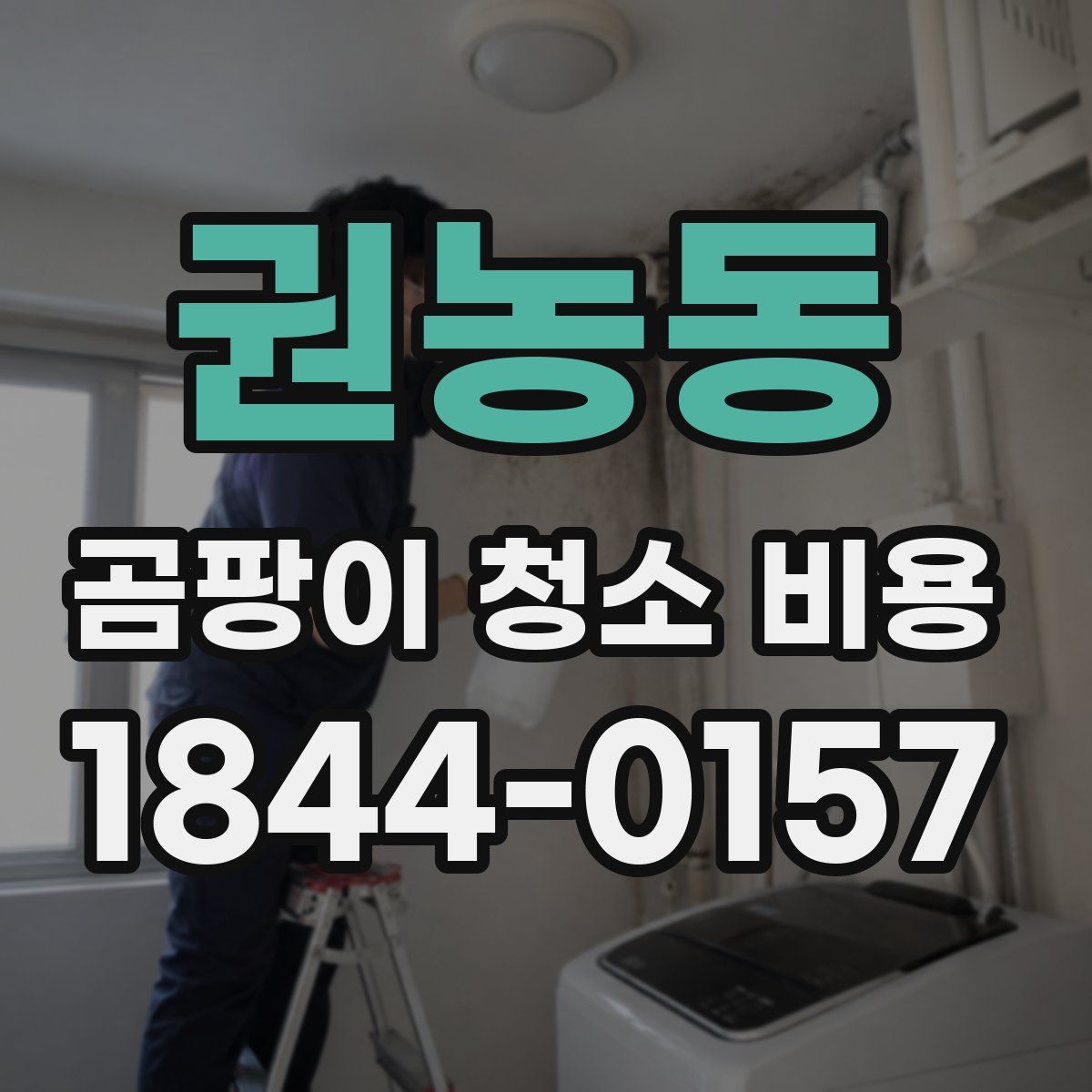 권농동 곰팡이 청소 비용