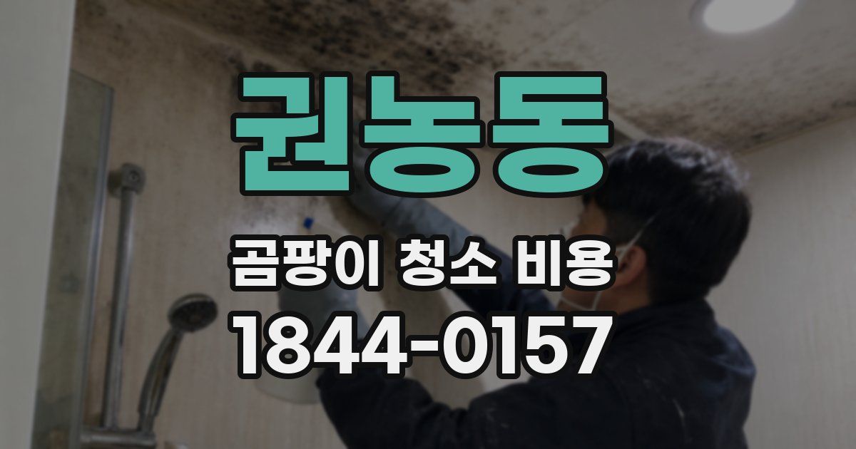권농동 곰팡이 청소 비용