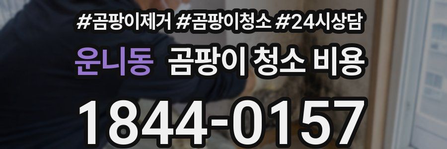운니동 곰팡이 청소 비용