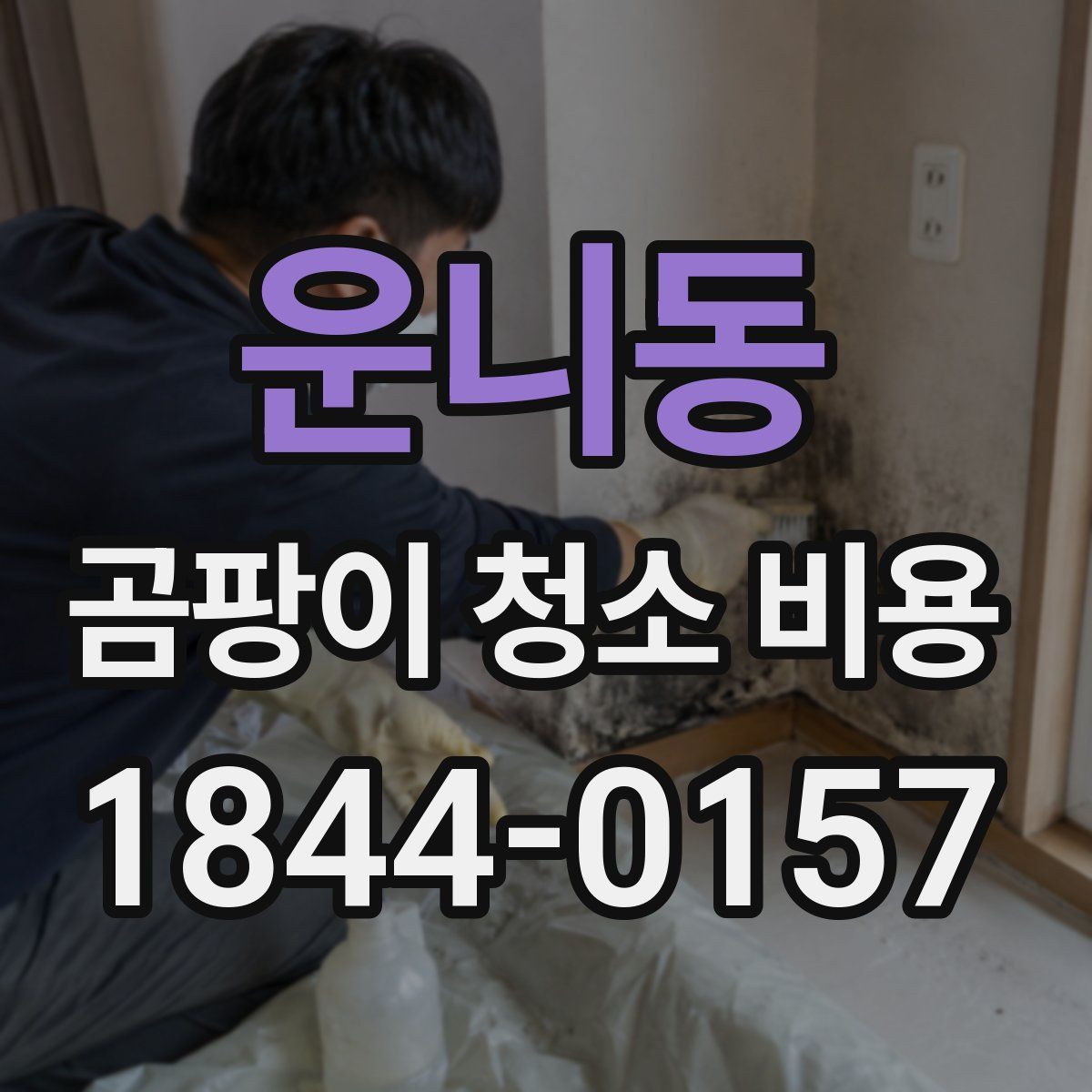 운니동 곰팡이 청소 비용