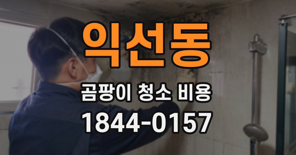 익선동 곰팡이 청소 비용