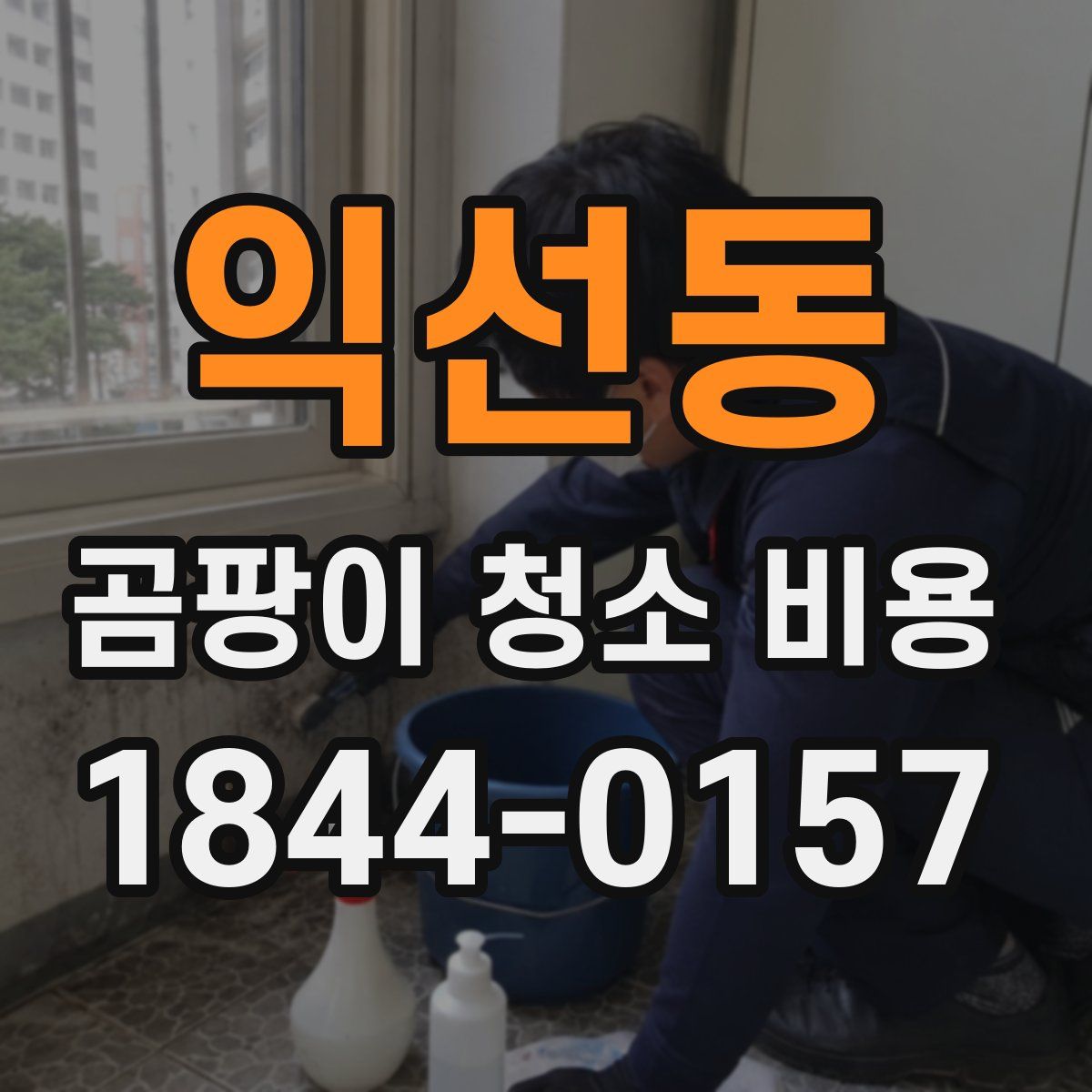 익선동 곰팡이 청소 비용