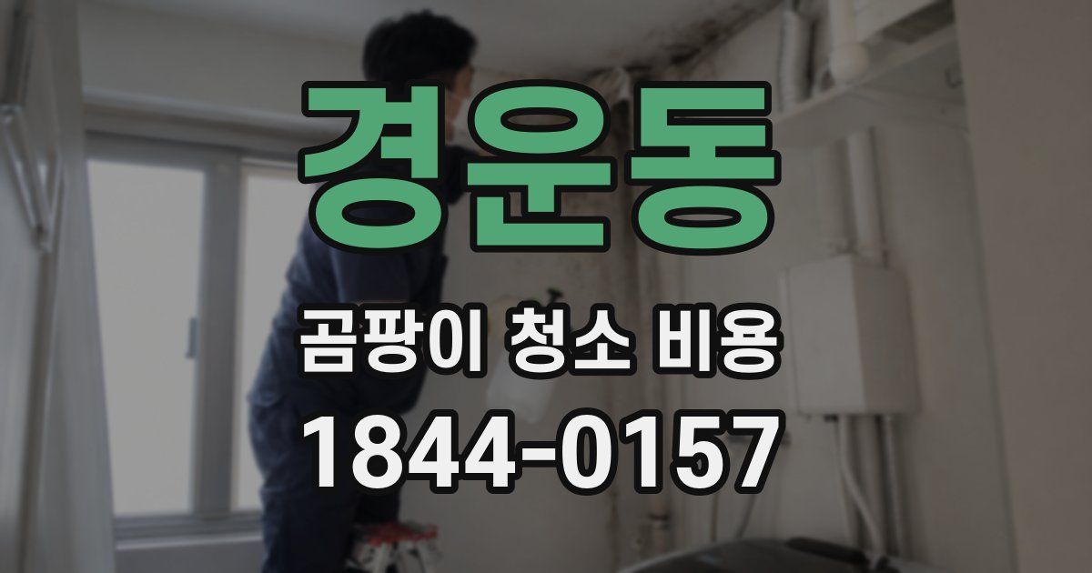 경운동 곰팡이 청소 비용