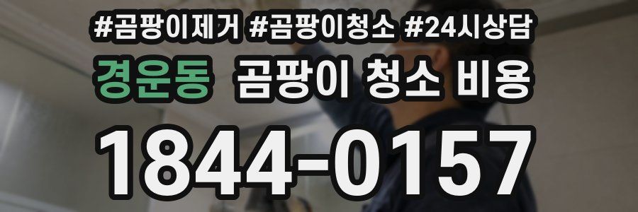 경운동 곰팡이 청소 비용