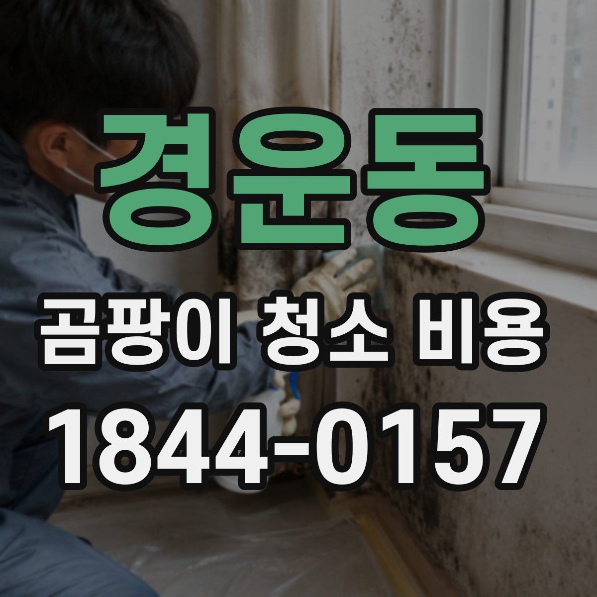 경운동 곰팡이 청소 비용