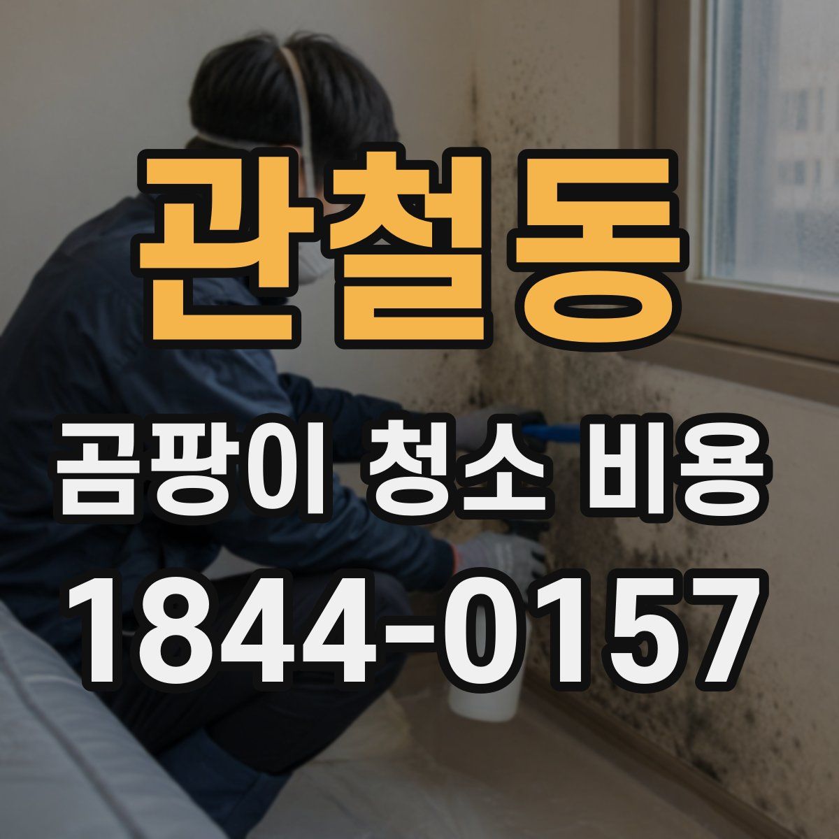 관철동 곰팡이 청소 비용