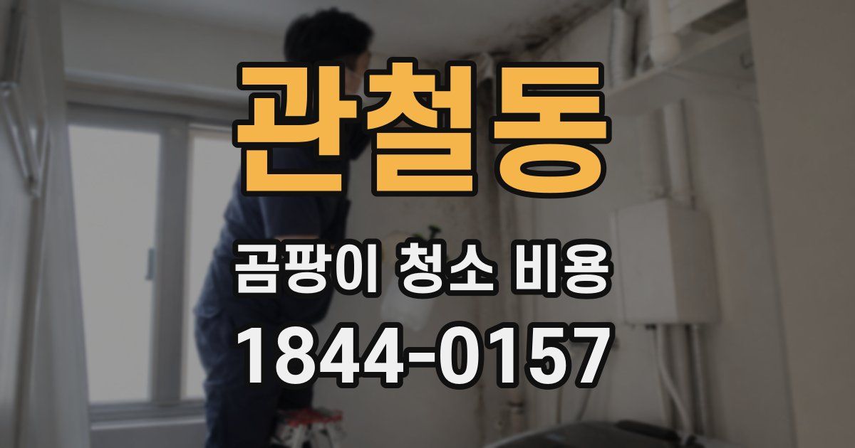 관철동 곰팡이 청소 비용