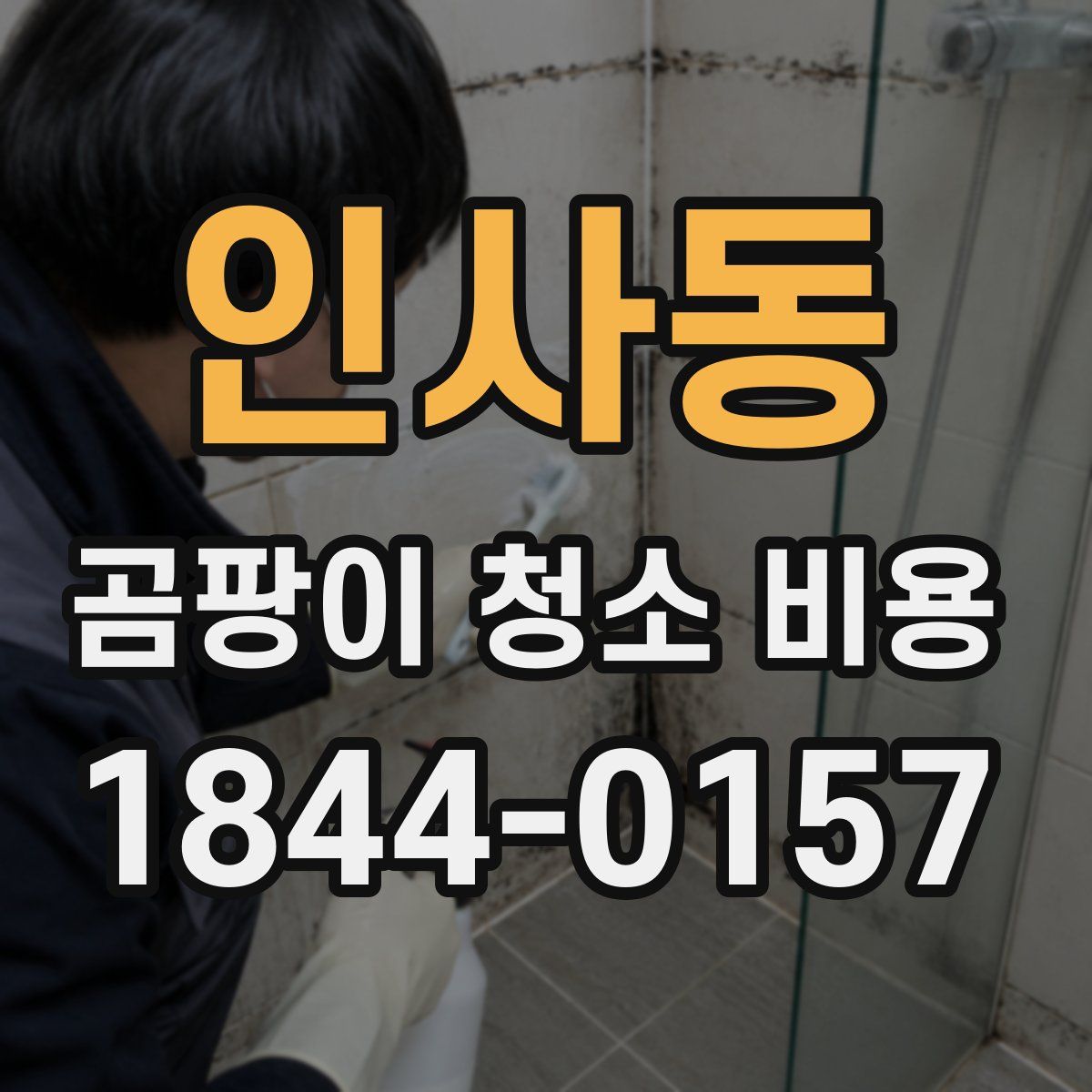 인사동 곰팡이 청소 비용
